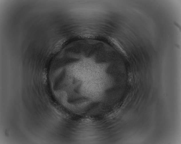 X0000091690259200709131612