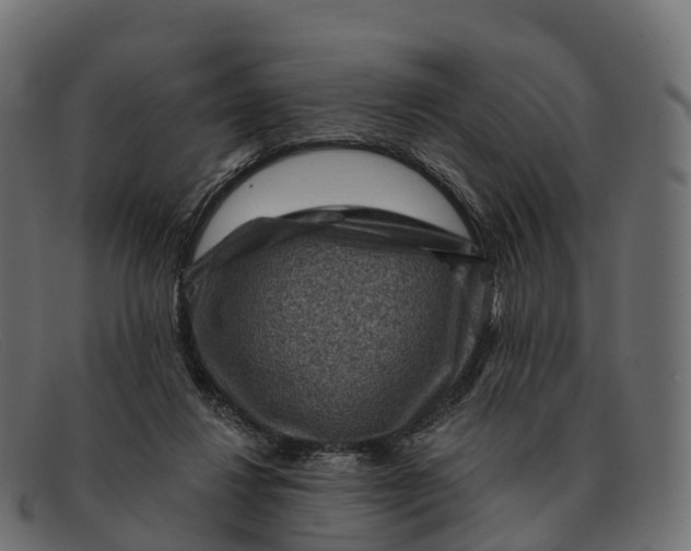 X0000091690260200709131612