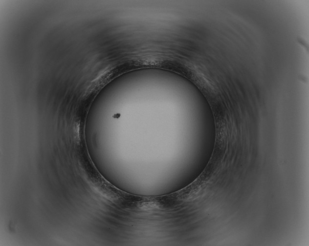 X0000091690262200709131612