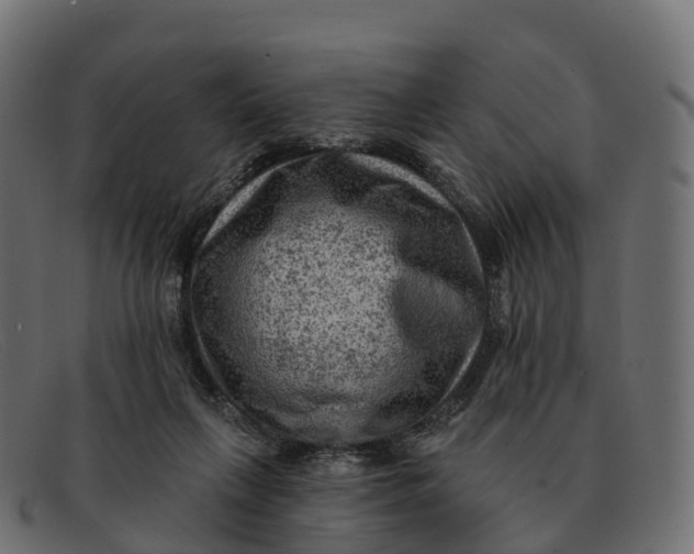 X0000091690263200709131612