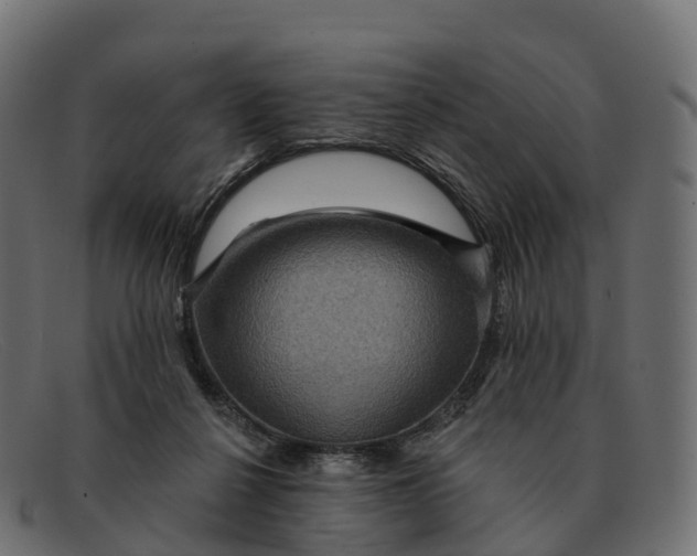 X0000091690264200709131612