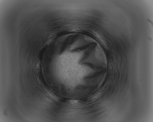 X0000091690265200709131612