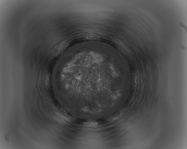 X0000091690266200709131612