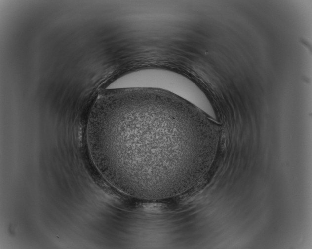 X0000091690268200709131612