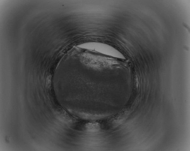 X0000091690271200709131612