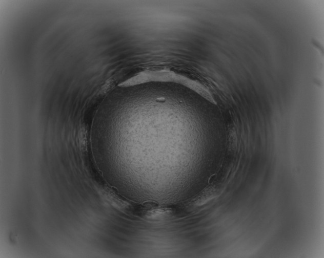 X0000091690274200709131612