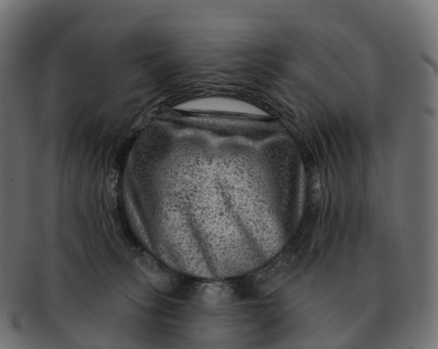 X0000091690275200709131612