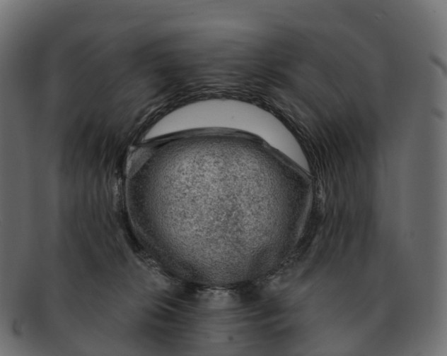 X0000091690276200709131612