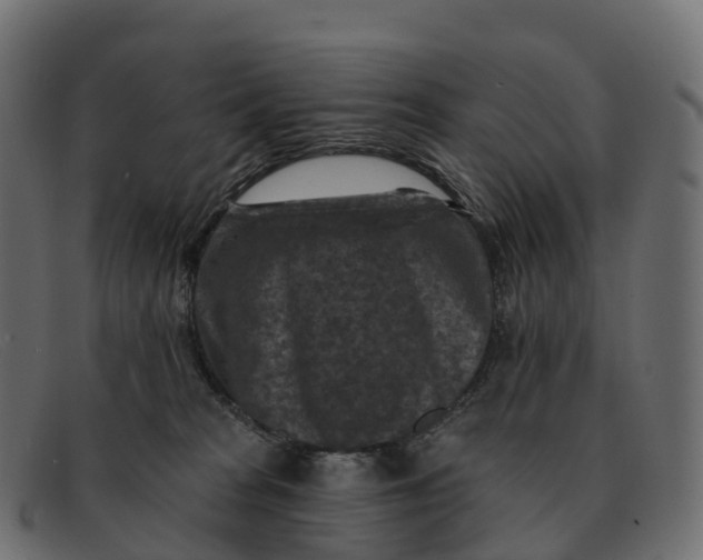 X0000091690277200709131612