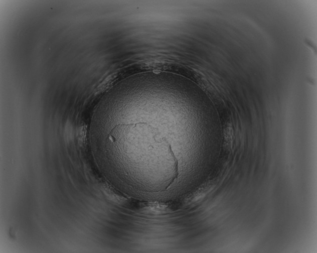 X0000091690278200709131612