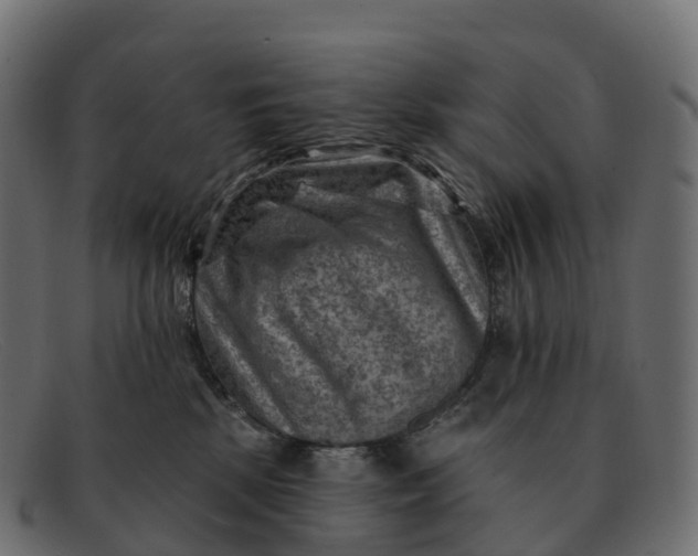 X0000091690281200709131612