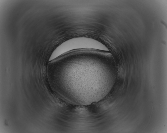 X0000091690283200709131612