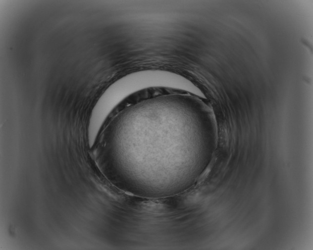 X0000091690284200709131613