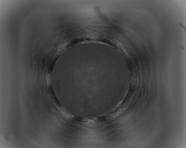 X0000091690285200709131613