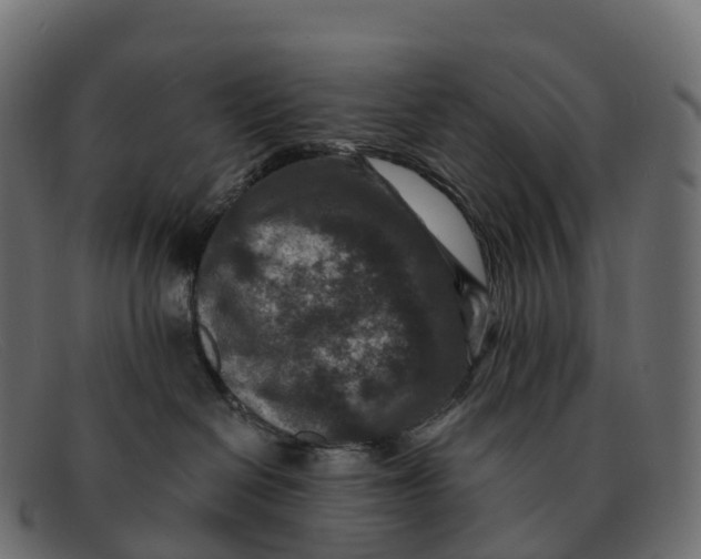 X0000091690286200709131613