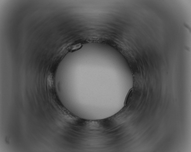 X0000091690287200709131613