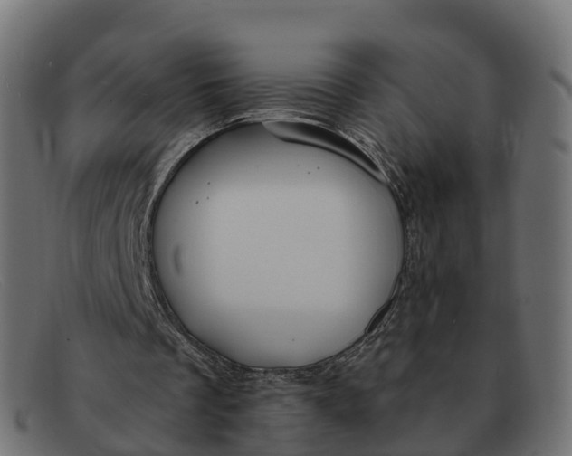 X0000091690289200709131612