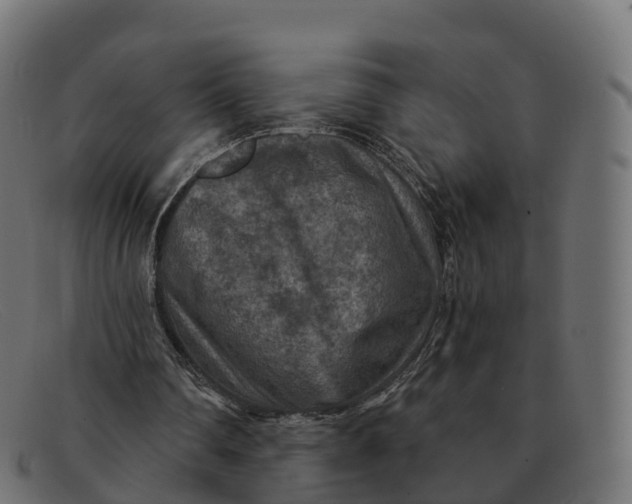 X0000091690290200709131612