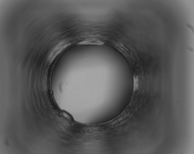 X0000091690291200709131612