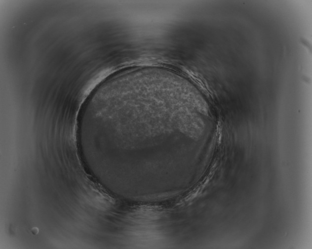 X0000091690292200709131612