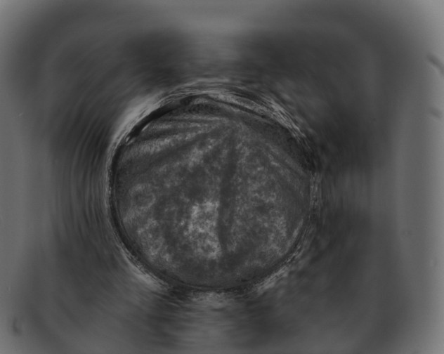 X0000091690293200709131612