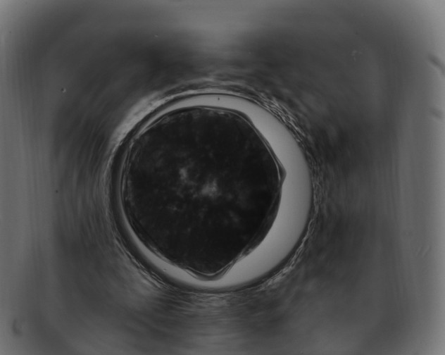 X0000091690295200709131612