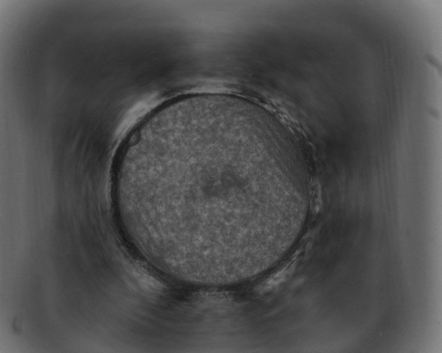 X0000091690296200709131612