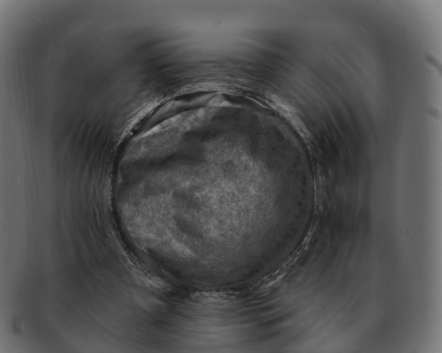 X0000091690297200709131612