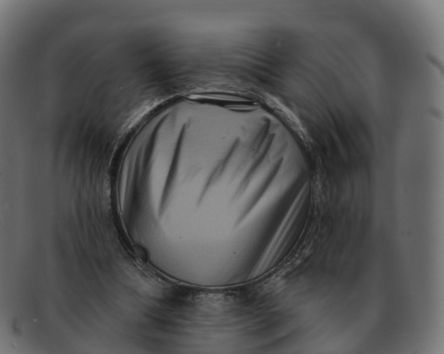 X0000091690298200709131612