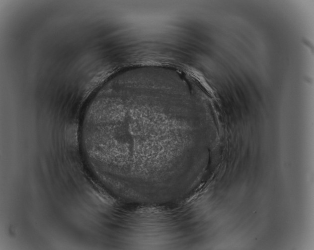 X0000091690299200709131612