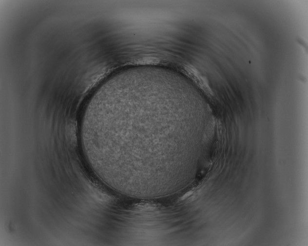 X0000091690300200709131612