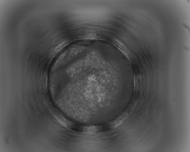 X0000091690301200709131612