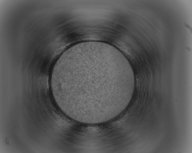 X0000091690302200709131612