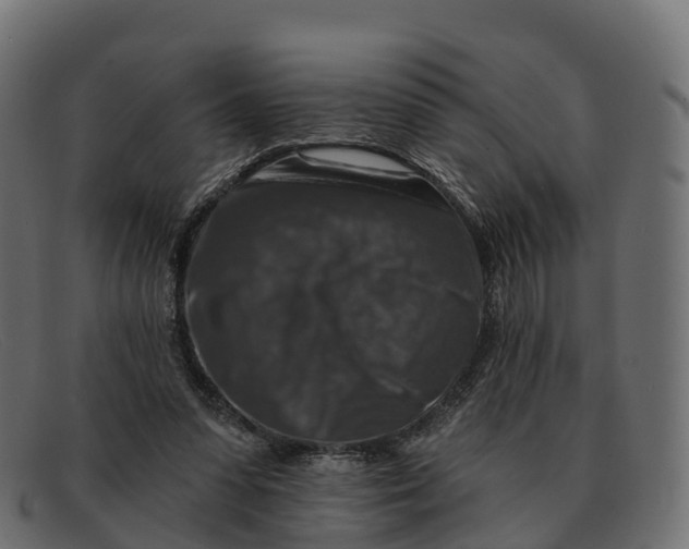 X0000091690303200709131612