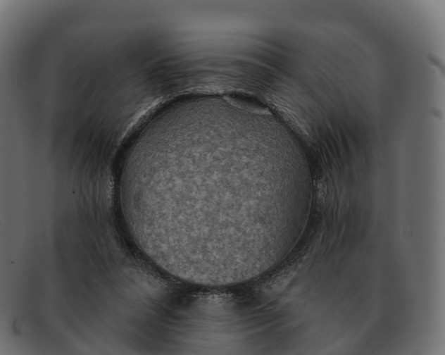 X0000091690304200709131612