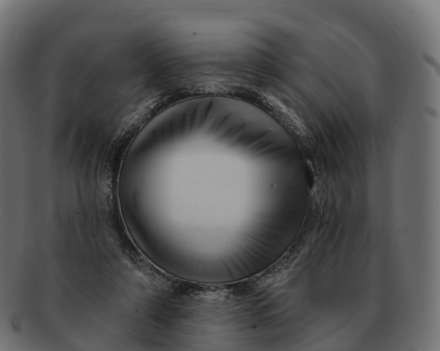 X0000091690306200709131612