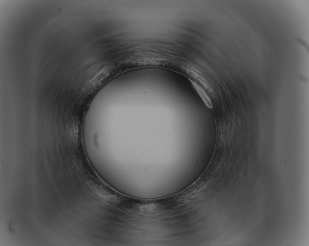 X0000091690309200709131612