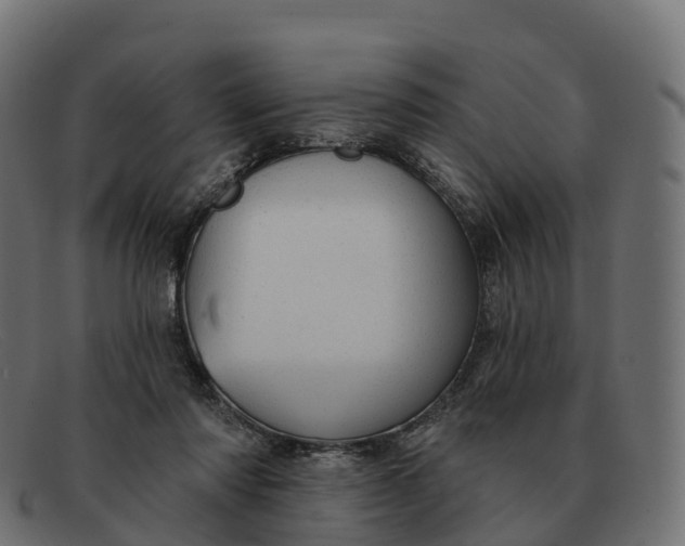 X0000091690310200709131612