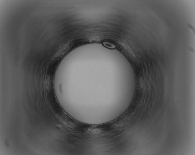 X0000091690311200709131612