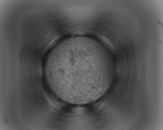 X0000091690312200709131612