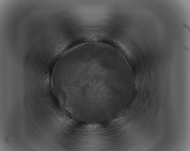 X0000091690314200709131612