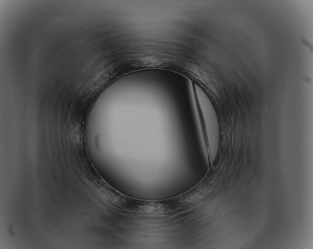 X0000091690317200709131612