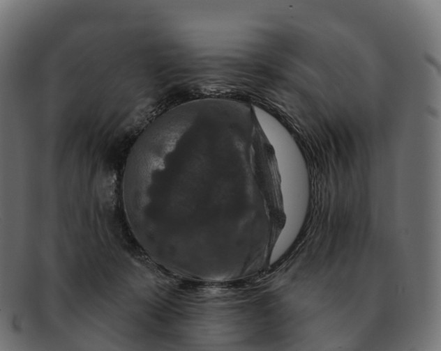 X0000091690319200709131612