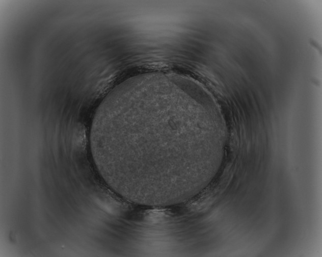 X0000091690320200709131612