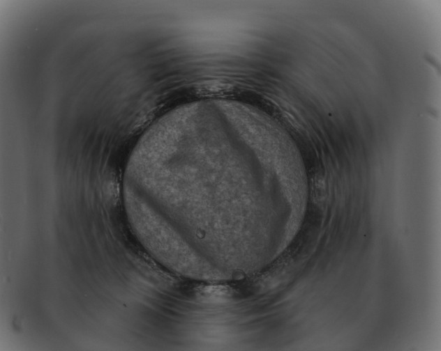 X0000091690324200709131612