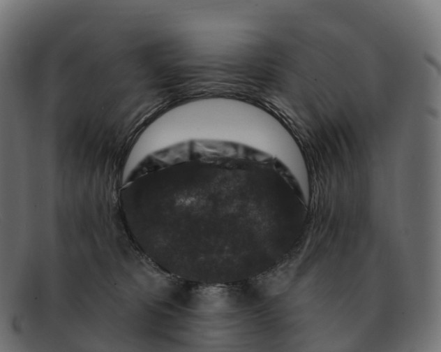 X0000091690325200709131612