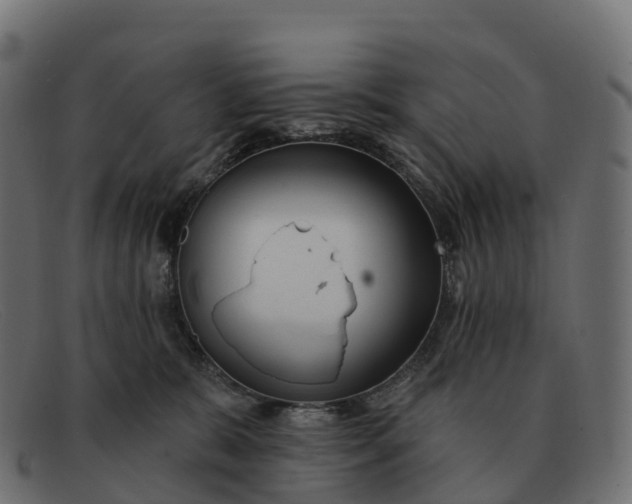 X0000091690327200709131612