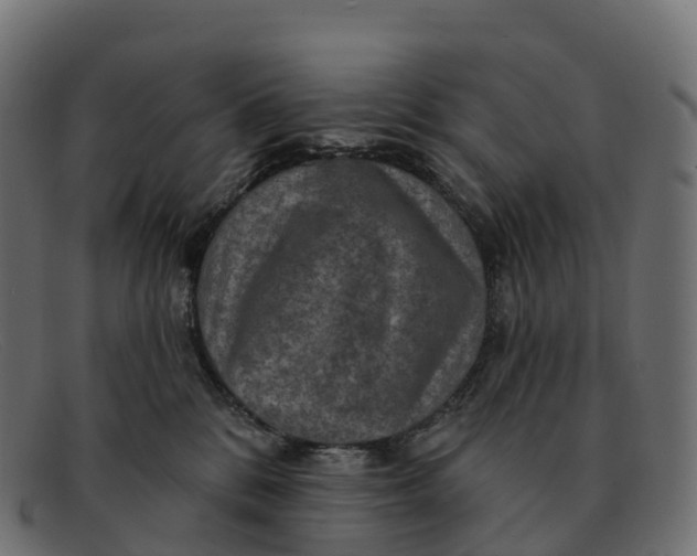 X0000091690328200709131612