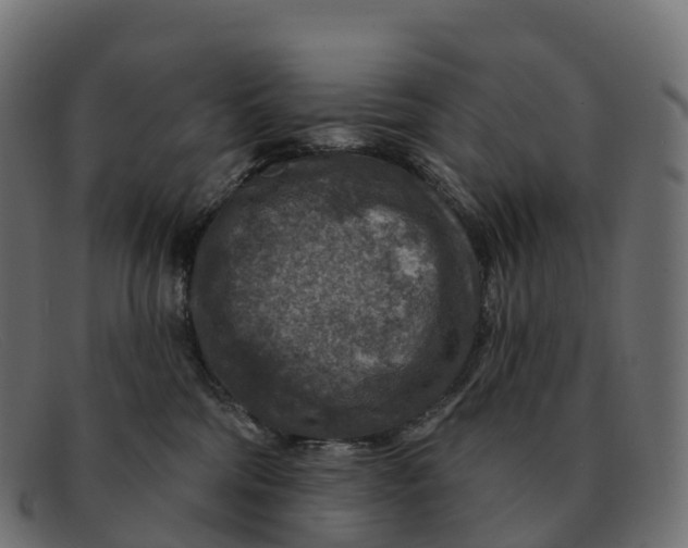 X0000091690330200709131611