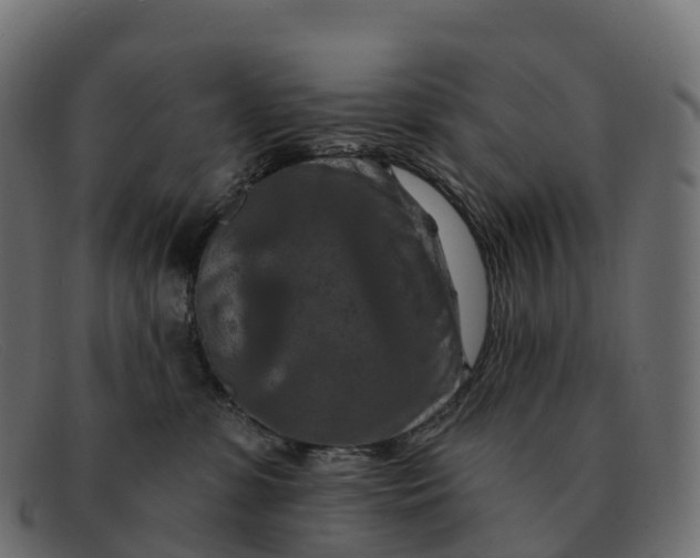 X0000091690331200709131611